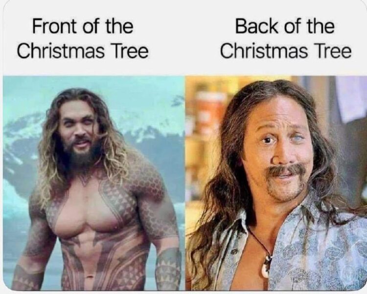 Front of the Christmas Tree vs Back of the Christmas Tree 😂 When you only decorate what guests can see! #Christmas #Meme.