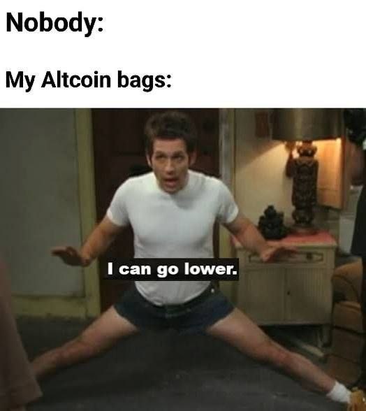 Nobody: My Altcoin bags: "I can go lower." When you think you've hit the bottom, but your coins just keep going. #crypto #altcoins #meme.