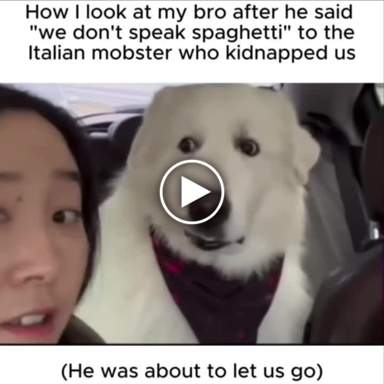 How I look at my bro after he said "we don't speak spaghetti" to the Italian mobster who kidnapped us. (He was about to let us go) #oops.