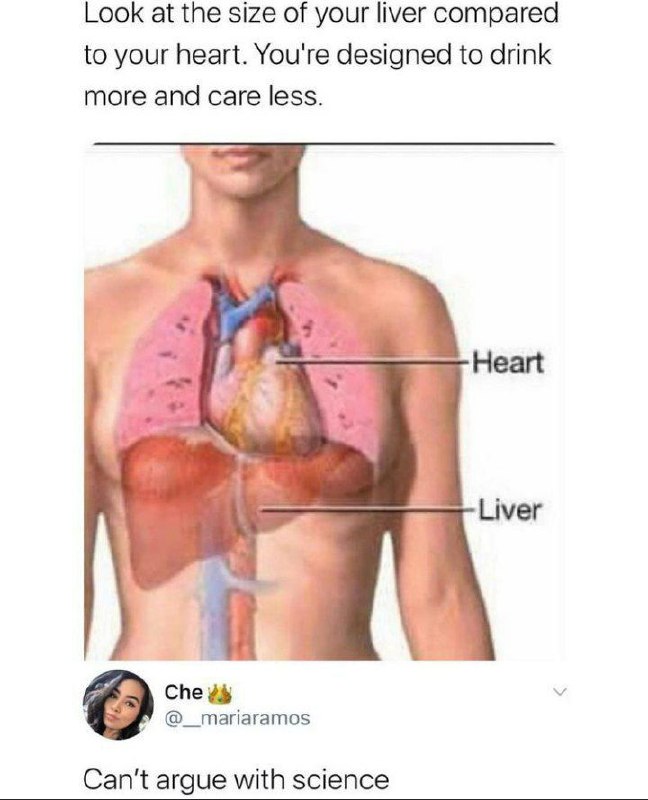 Liver bigger than your heart? Science says drink more, care less. Can’t argue with science 😂 #science #facts #mood.