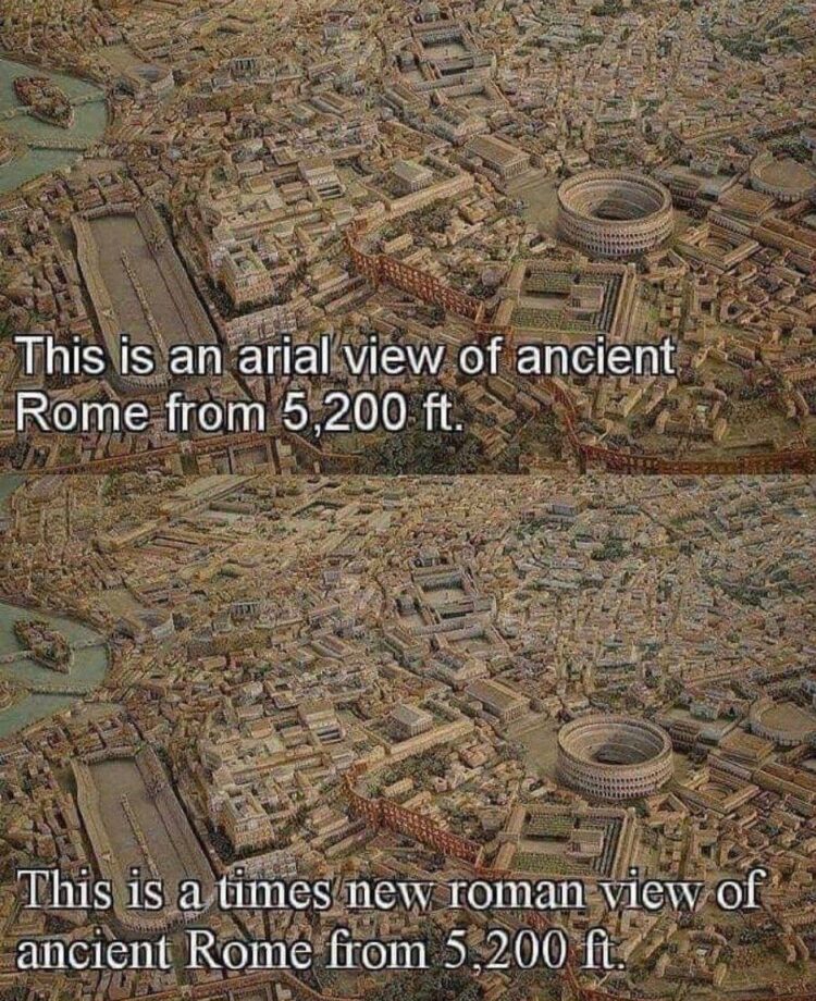 When you ask for an Arial view but your friend sends Times New Roman instead 😂 "arial view" vs. "times new roman view" #fonts #LOL.