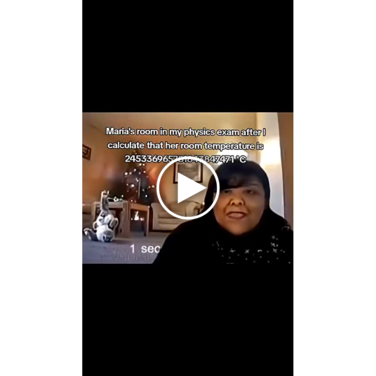 When your physics exam says Maria's room is 24533696574398547471°C and she still chillin’ 😂🔥 #exams #fail #math.