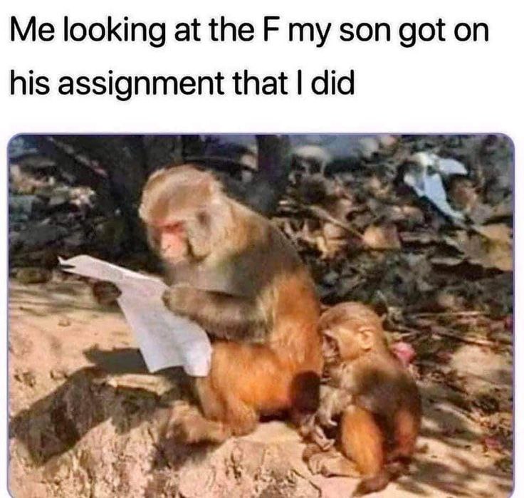 Me looking at the F my son got on his assignment that I did. When parent-teacher night gon’ hit different 😂 #parenting #fail.