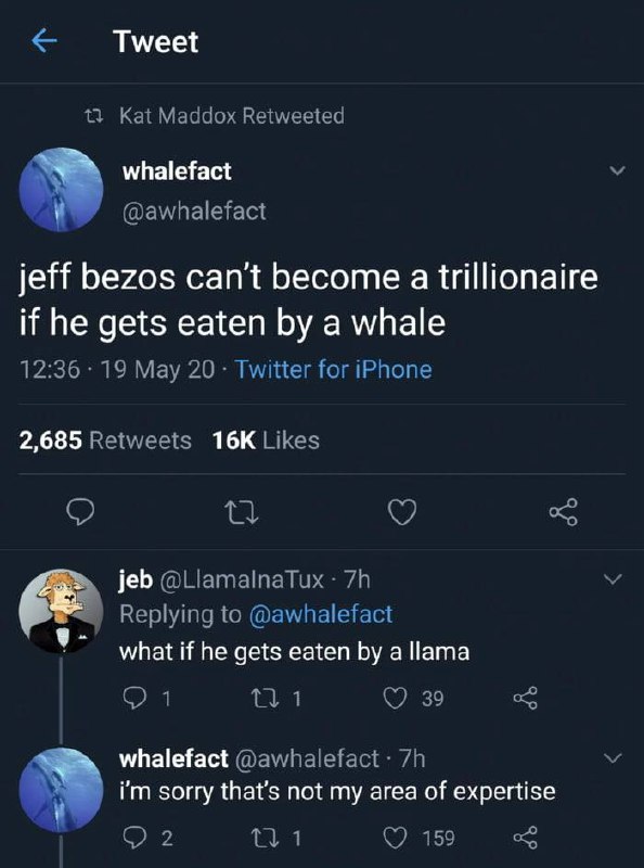 If Jeff Bezos gets eaten by a whale, no trillions for him. But what if it’s a llama? Not an expert there 😂 #whales #llamas.