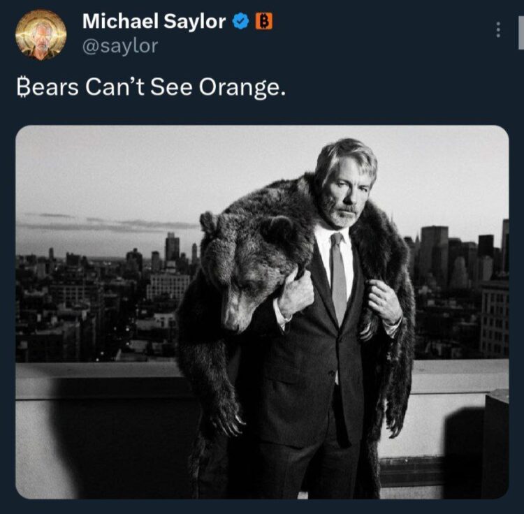 When you’re outsmarting bears and fashion at the same time. Bears Can’t See Orange. #wildstyle #bossmoves #citylife.