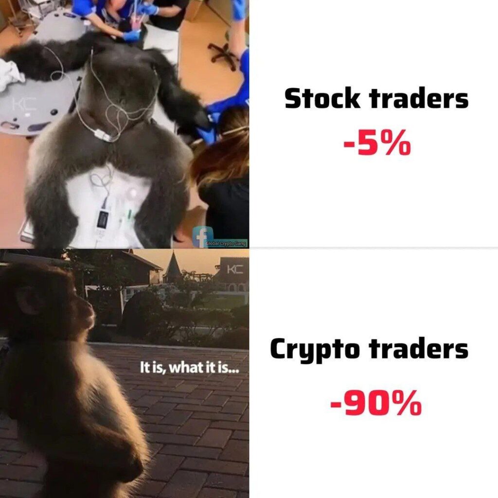 You lose 5% in stocks and panic. Crypto down 90%? "It is, what it is..." 😂 #crypto #trading #investor #memes.
