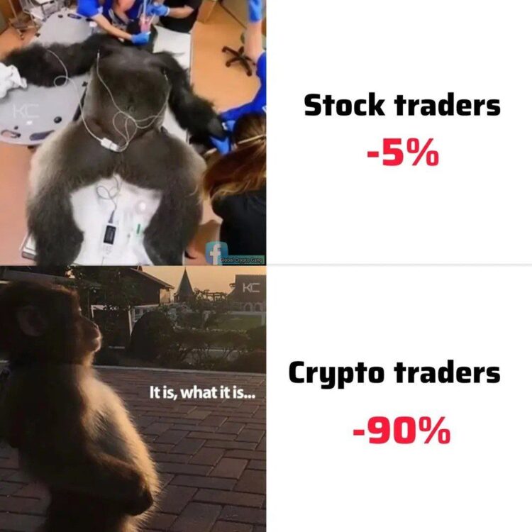 You lose 5% in stocks and panic. Crypto down 90%? "It is, what it is..." 😂 #crypto #trading #investor #memes.