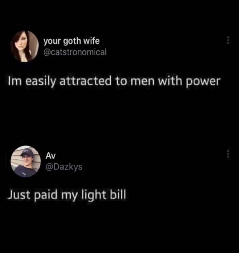 I'm easily attracted to men with power." Bro: "Just paid my light bill." 😂 #powerful #adulting.