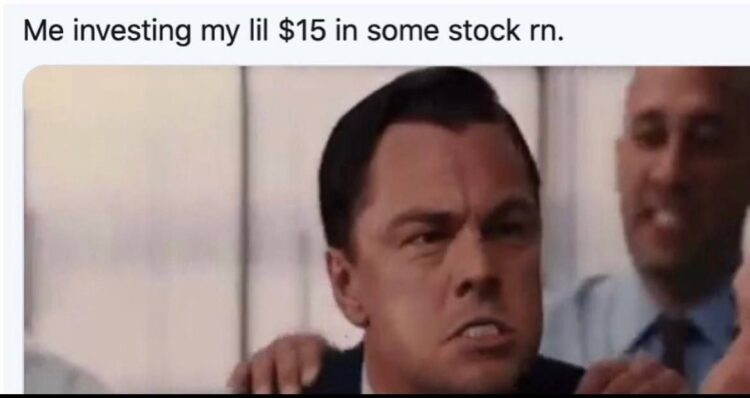 Me investing my lil $15 in some stock rn. You know you’re about to buy that dip like a Wall Street wolf 🐺 #investing #mood.