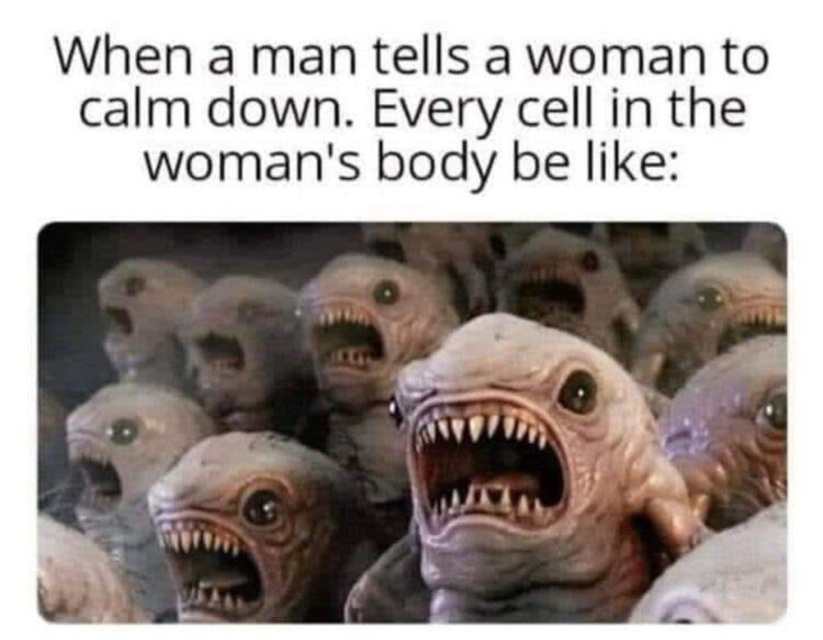 When a man tells a woman to calm down. Every cell in the woman's body be like: 😂💥 #truth #lol.