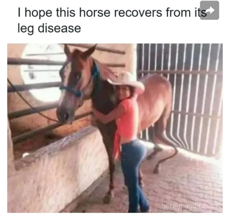 You ever hug your horse and accidentally give it a full-on leg transplant? "I hope this horse recovers from its leg disease." #horselife.
