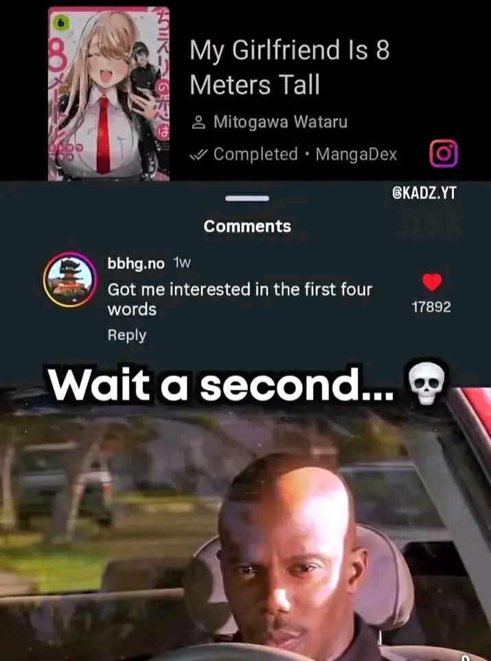 My Girlfriend Is 8 Meters Tall. Someone said "Got me interested in the first four words." Bro in the car: Wait a second... 💀 #meme.