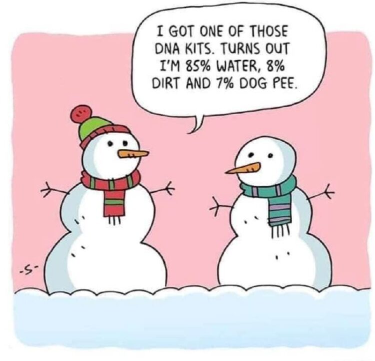 You find out you’re 85% water, 8% dirt, and 7% dog pee. DNA kits with a snowman plot twist 😂❄️ #DNA #snowman #LOL.