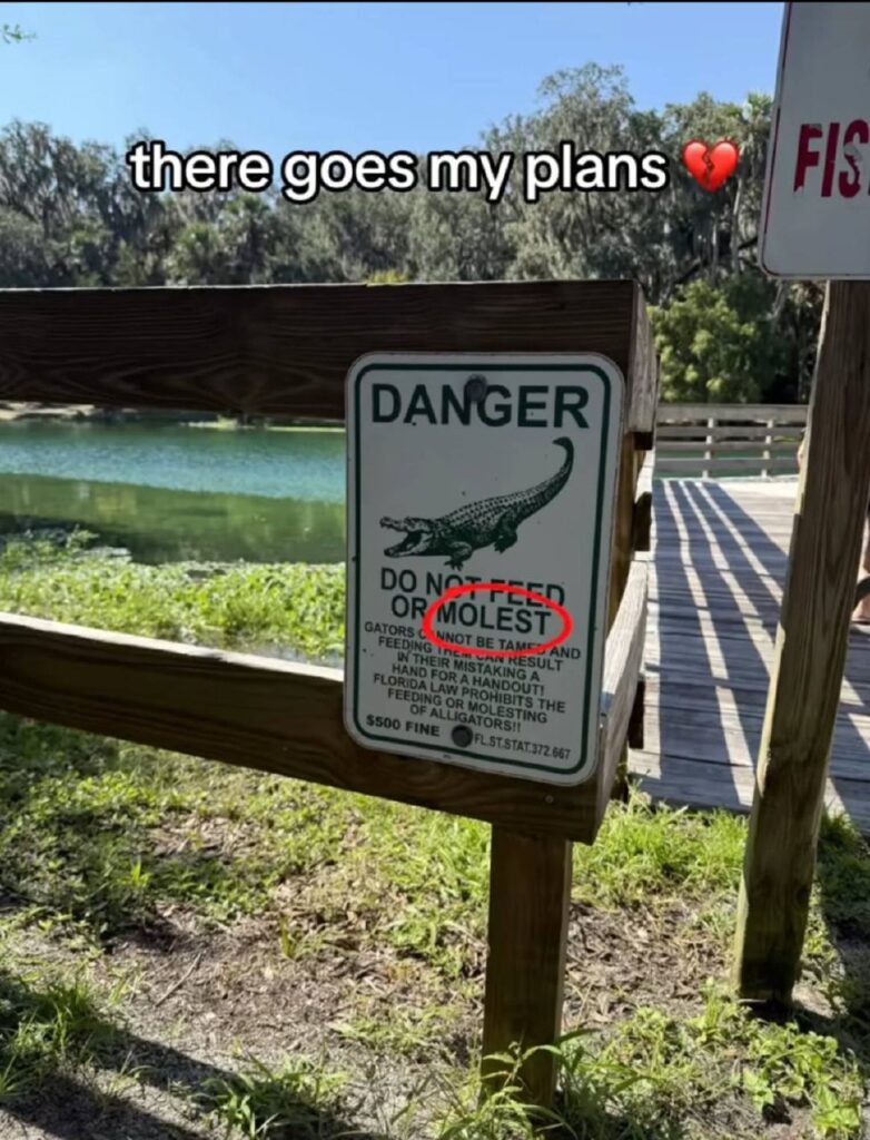 There goes my plans 💔 “DANGER DO NOT FEED OR MOLEST” (yeah, "MOLEST" is circled). Guess you gotta save your Saturday 😂 #fail #plans.