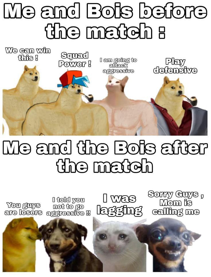 You and the squad: “Easy win, got this!” After L: “Team sold, lag, not my fault.” 🐶😭 #squadgoals #relatable #dogememe.