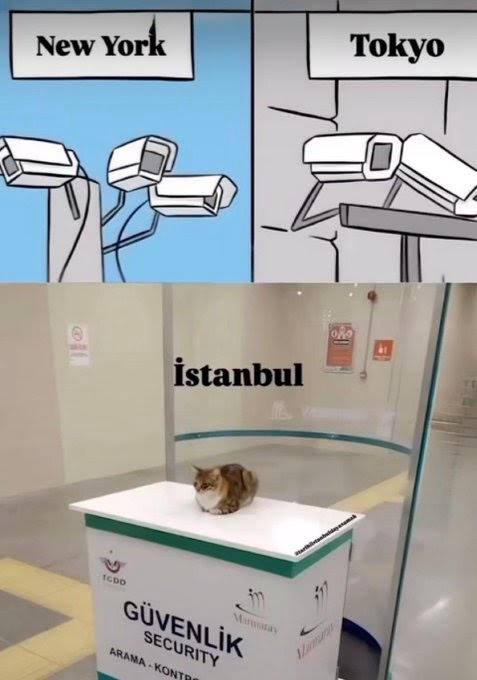 New York: security camera. Tokyo: security camera. Istanbul: cat on duty. Only in Turkey 😂 #Istanbul #CatBoss #security.