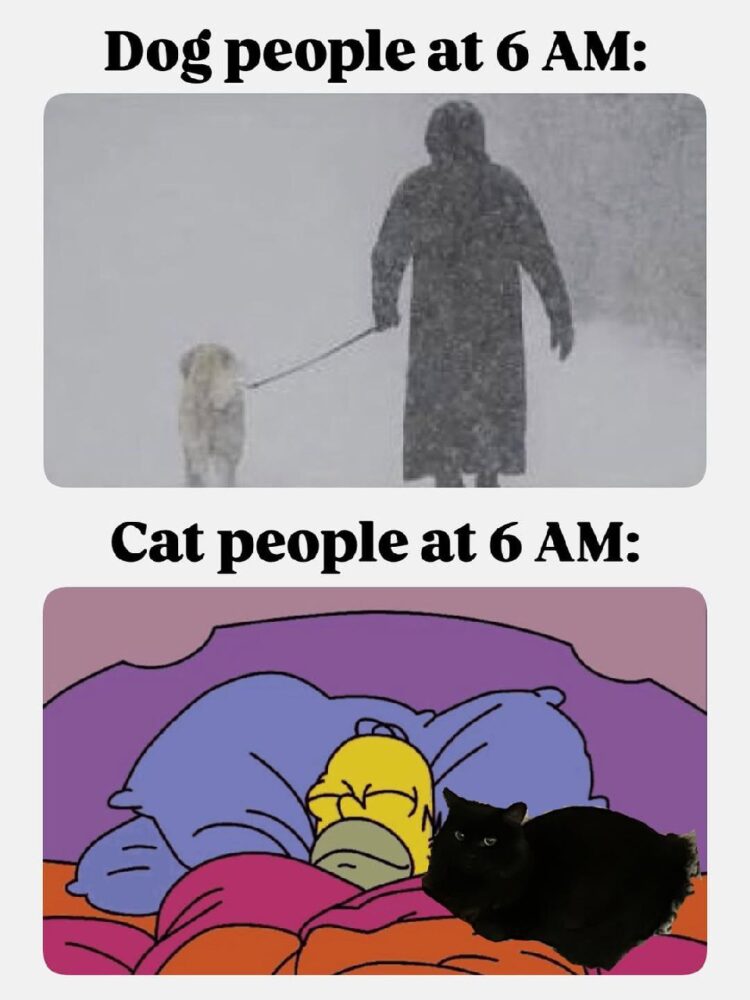 Dog people: 6AM blizzard stroll vs Cat people: 6AM bed snuggle. Choose your fighter. #morning #pets #catlife #doglife.