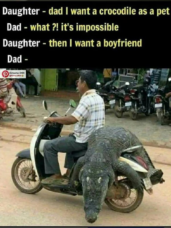 Daughter: Can I have a boyfriend? Dad: No. Daughter: OK, a crocodile then? Dad: *arrives with croc* Parenting level 9000 😂 #parenting #dadlogic.