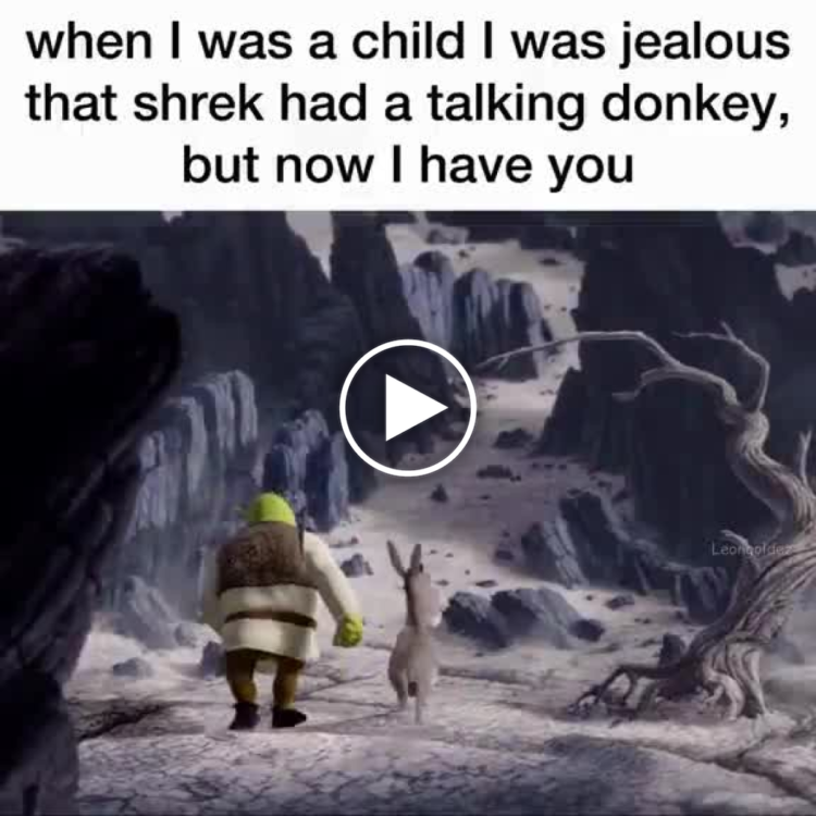 When I was a child I was jealous that shrek had a talking donkey, but now I have you. #friendship #Shrek #nostalgia.