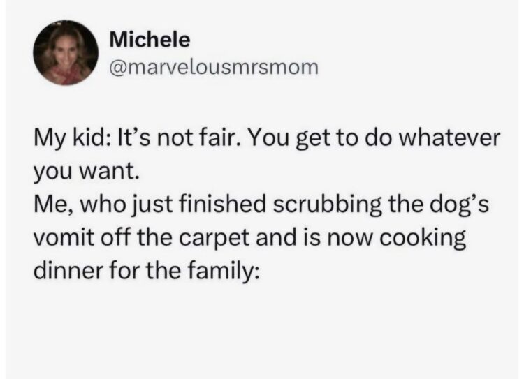 When your kid thinks being a parent means unlimited fun, but it’s 90% cleaning up and cooking. #parenting #momlife.