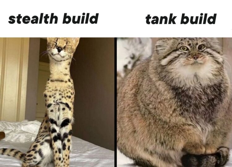 When you switch from rogue to tank in the middle of a dungeon. "stealth build" vs "tank build" #catmemes #gamerlife.