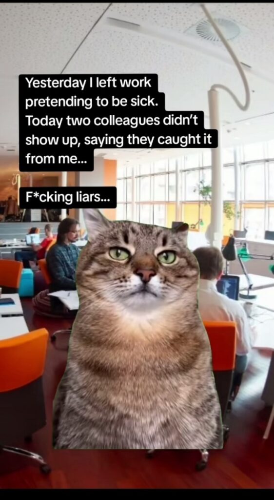 Yesterday I left work pretending to be sick. Today two colleagues didn’t show up, saying they caught it from me... F*cking liars... #WorkLife.